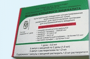 Государство не обеспечит детей [бесплатной вакциной от энцефалита]