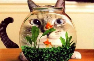 Минэкономики: Понедельник [начинается в субботу]