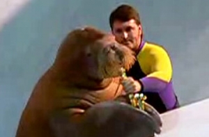 В турецком дельфинарии моржиху [научили играть на саксофоне]