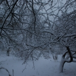 Рождество будет [снежным и морозным]