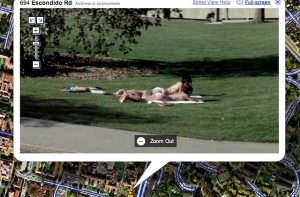 Сервис Google Street View [вызвал резкую критику] во всем мире