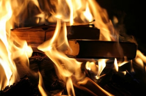 Сегодня у [Сейма будут жечь книги и протестовать]