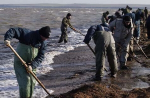 Неизвестное судно слило [в Ирбенском заливе мазут]