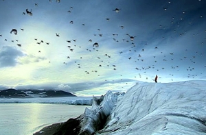 Составлен рейтинг [самых интересных новостей] 2008 года