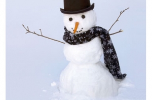 На Аляске вылепили [незаконную Сноузиллу]