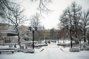 Следующая [неделя будет снежной]