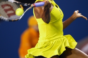 [Винус Уильямс] расстроила своих болельщиков