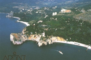 Директор крымского детского лагеря «Артек» [объявил голодовку]