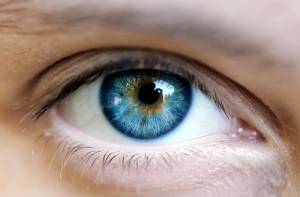 Объявлен конкурс [репортажных фотографий]