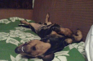 Конкурс «Мобильный взгляд» - продолжение