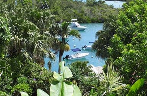 Австралия ищет [смотрителя для райского острова ]