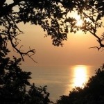 40% жителей Латвии будут [праздновать день Св. Валентина]