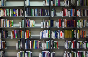 Латвия перестает [читать книги]