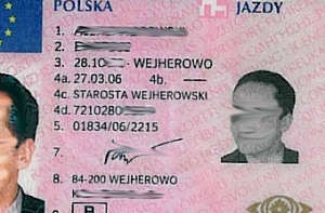 Ирландская полиция выяснила [личность водителя Право Язды]