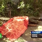 [Война с Грузией унесла жизни] 64 российских солдат