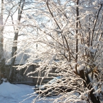 В начале февраля в Латвии [сохранится холодная и сухая погода]