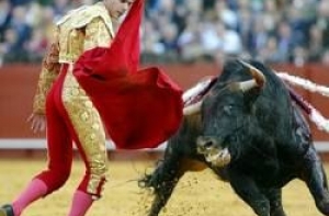 Из-за кризиса в Испании [отменяют корриду]