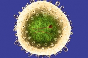 [Почти 2% жителей Латвии] болеют гепатитом С