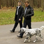 [Собаки президента России] поучаствовали в выставке