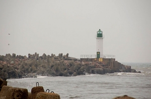 За 2008 год – [12 несчастных случаев на латвийских] судах