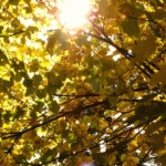 В конце апреля в Латвии [ожидается до +19 градусов]