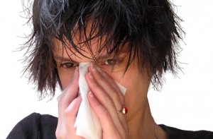 Латвийских туристов [предупреждают об опасности свиного гриппа]