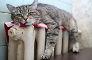 Рижане задолжали [за тепло более 6 млн. латов]