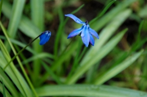 [Следующая неделя будет] теплой и солнечной