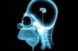 На eBay выставлена [голова Гитлера]