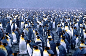 Специалист: Стоило бы сократить [60 тысяч чиновников]