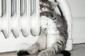 Летом в Риге [подешевеет тепло]