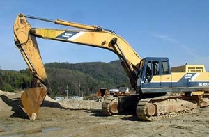 Трехлетняя девочка купила [на интернет-аукционе экскаватор]