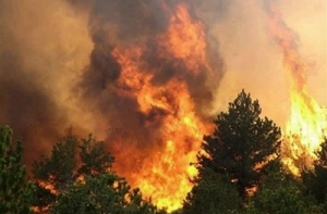 Из-за сухой погоды [Латвии угрожают лесные пожары]