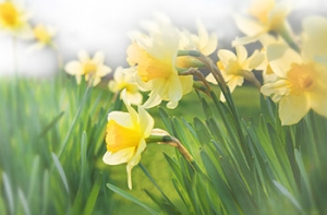 Май будет [теплым и сухим]