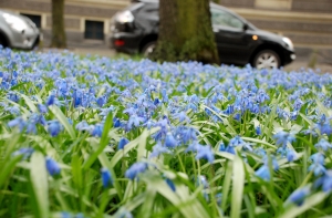 [На следующей неделе станет] теплее