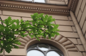 10 депутатов [покидают парламент]