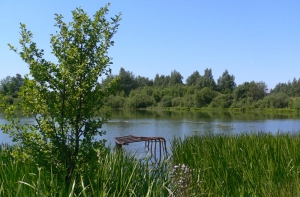 На озере [столкнулись водный мотоцикл и моторная лодка]