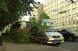 Более 50 жителей Подмосковья [пострадали в результате смерча]