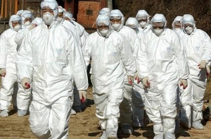 Новый грипп [унес больше жизней], чем птичий