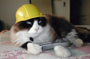 В Латвии растет [число «трудовых зайцев»]