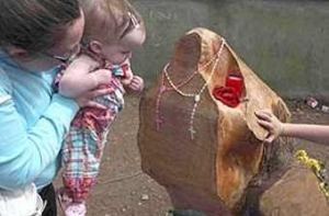 В Ирландии на пне [проявился образ Девы Марии]