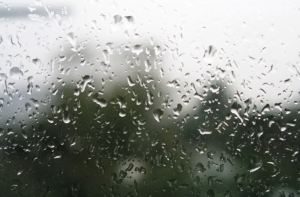 На следующей неделе [дождь обещают ежедневно]