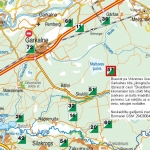 Президент займется [спортом на болоте]