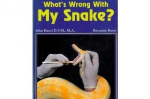 Библиотекари собрали [коллекцию «ужасных» книг]