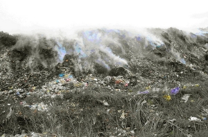 ЗаПЧЕЛ выступает против [сжигания в Латвии иностранного мусора]