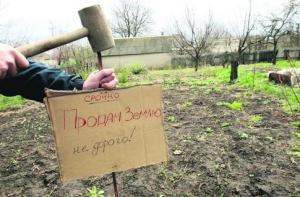 Репше за ночь должен [изменить налоговую политику]