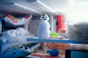 Вор заснул [в холодильнике паба во Флориде]