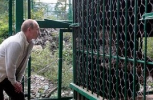 Леопардам Путина [не докладывают мяса]