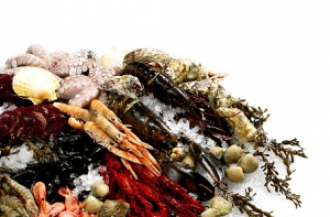 Рижан приглашают на [фестиваль морских деликатесов]