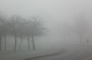 Синоптики [предупреждают о сильном тумане]